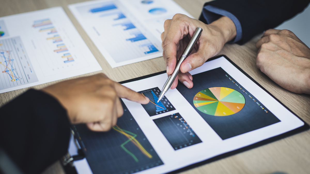Consultation & Business Analytics